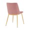 Armen Living Messina Modern Pink Velvet and Gold Metal Leg Dining Room Chairs, PK2 LCMSSIGLPNK - alternate 7